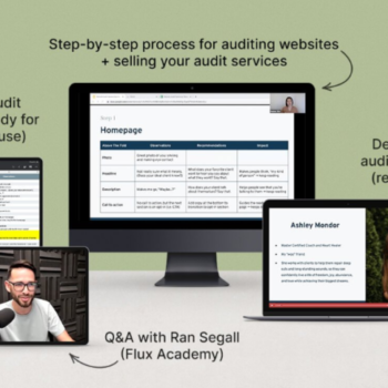 Danbee Shin – Website Audit Masterclass